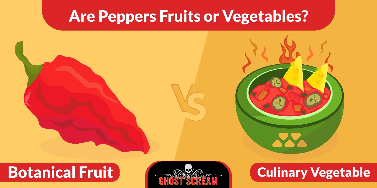 Pepper fruit or deals vegetable